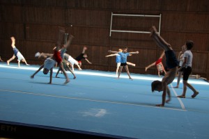 IMG 0289